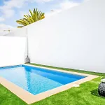 וילה Gaillardia *